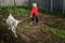 A little beautiful girl in a barnyard walks with a horse,