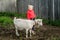 A little beautiful girl in a barnyard walks with a horse,