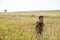 Little beautiful girl walks through tall, autumn grass