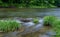 Little Beaverkill River - Famous trout stream in New York
