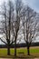 Little bench between high trees at a crossroads with fields and meadows near the forest