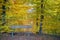 Little bench for hikers in autumn forest