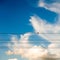 Little bird and cloudy sky as background