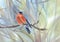 Little bird red bullfinch on the branch watercolor background