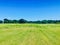 The little bird rests on the green grass in a leisurely way. In the distance  tourists come in on bicycles and startled them.