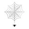 Little black spider hangs on cobweb