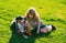 Little blond boy with her pet dog outdooors in park. Child with pet puppy dog. A child with a dog playing in nature on