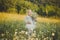 Little blond girl ballerina in white ballet dress posing with bucket basket of flowers daisy chamomile on meadow of forest wild ca