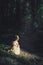 Little blonde girl in dress sits in sun light inside a dark creepy forest looking away to the trail. Girl alone in the woods