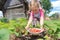 Little blonde girl harvesting home-grown garden