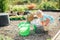 Little blonde girl playing at garden with water in a tin basin. Kids gardening. Summer outdoor water fun. Childhood in the country