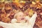 Little blonde girl portrait lying on autumn yellow maple leaves outstretched hands and smiling.