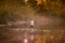 Little blonde girl on the riverside. Autumn in the yellow forest