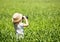 Little blonde girl in straw hat looking through binoculars