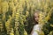 Little blonde girl in yellow lupines