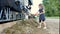 Little Blonde-haired Girl Giving Green Grass to Black and White Cows and Laughing. Animal Feeding, Eco Farming Concept.