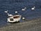 Little boat at Valery sur Somme in France