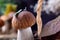 Little boletus edulis with a leaf and fuzz