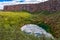 The little Botnstjorn Lake in Asbyrgi Canyon, Iceland.