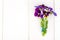 Little bouquet of Viola tricolor
