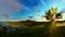 Little boy with airplane on green meadow, tree of life sun rays, panning