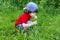 Little boy with blowballs in summer