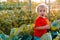 Little boy in cabbage in summer evening lights