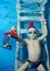 A little boy in a cap Santa Claus with a gift in hand sits underwater on the stairs at the bottom of the pool