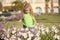 Little boy child looking at flowerbed with petunia flowers