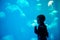 Little boy, child watching jellyfish swim at indoor aquarium. Kid at zoo aquarium.