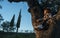 Little boy climbed up a holm oak tree observing the sunset