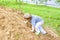 A little boy climbs a mountain with sand.