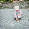 Little Boy Collecting Colorful Easter Eggs