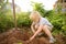 Little boy dig shoveling in backyard at summer sunny day. Mommy little helper