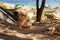 Little boy, drinking coctail, orange juice on the beack in hammock, enjoying summer