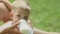 Little boy drinks milk from baby bottle