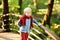 Little boy enjoy stroll in the sunny forest or in summer park