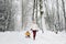 Little boy enjoying a sleigh ride