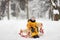 Little boy enjoying a sleigh ride