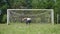 Little boy exercising in a meadow, sports outdoor activities