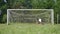 Little boy Exercising in a Meadow, Sports Outdoor Activities