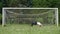 Little boy Exercising in a Meadow, Sports Outdoor Activities