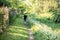 Little boy and favorite companion dog coker spaniel friend walking garden, trees, greenery, street. Light day outdoor