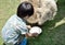 Little boy feeding alpaca in farm : Closeup