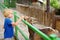 Little boy feeding goat. Child at outdoors petting zoo. Kid having fun in farm with animals. Children and animals. Fun for kids on