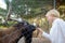 Little boy feeding goat. Child at outdoors petting zoo. Kid having fun in farm with animals. Children and animals. Fun for kids on