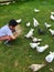 A little boy feeding pigeons