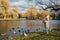 Little boy feeds ducks at the park pond.