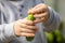 A little boy found the first young green cucumber in a greenhouse