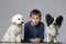 Little boy with funny domestic dogs